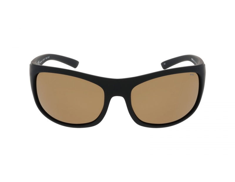 A2106F INVU SUNGLASSES