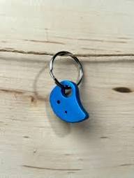KEYRING CAM