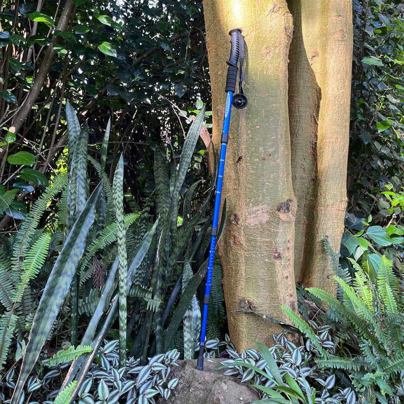 GO- 990 ANTISHOCK TREKKING/ HIKING POLE - BLUE