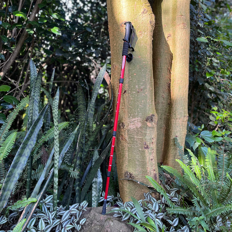 GO- 990 ANTISHOCK TREKKING/ HIKING POLE - RED