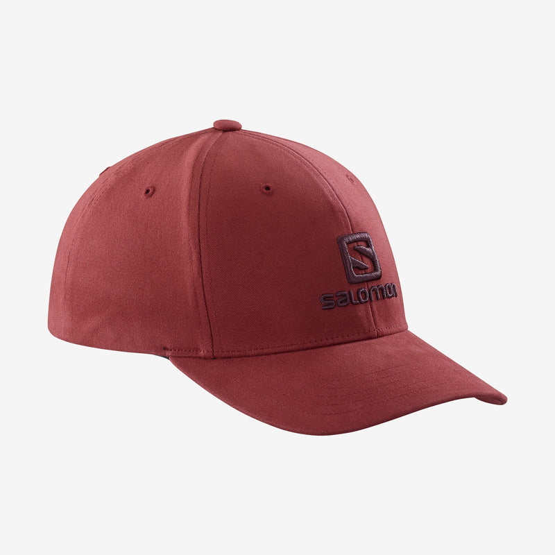 SALOMON LOGO